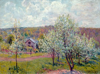 Spring in the Environs of Paris, Apple Blossom by Alfred Sisley